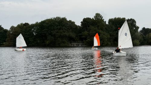IMG 8174