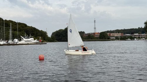 IMG 8176