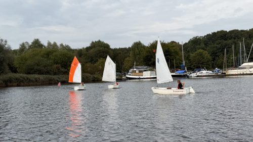 IMG 8177
