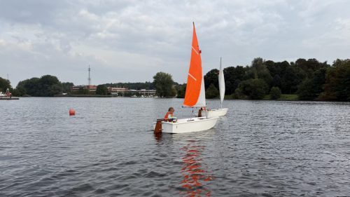 IMG 8178