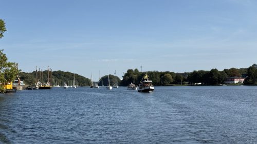 IMG 8339