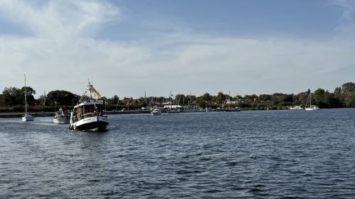 IMG 8344