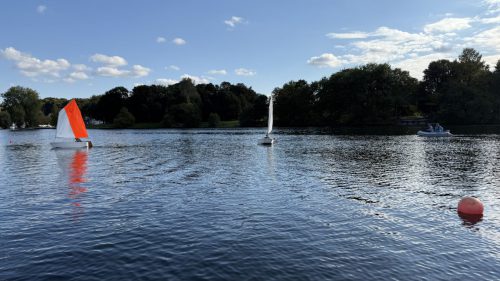 IMG 8486