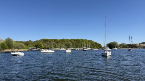 IMG 0970